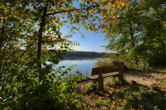在分析这两 在分析这两