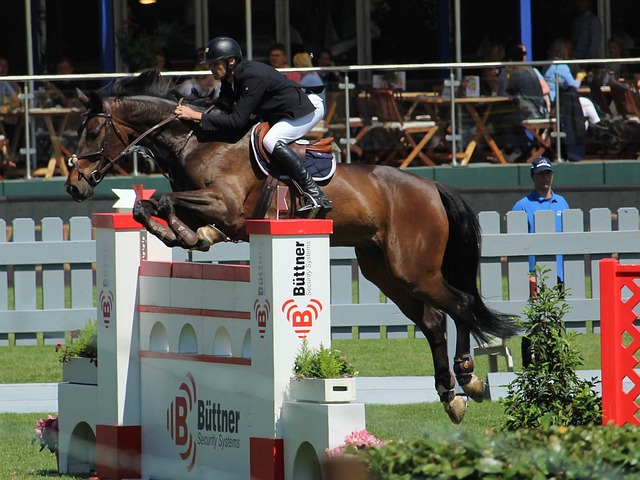 媒体的发展 媒体的发展