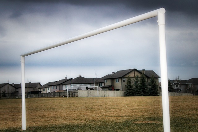 的双向奔赴 的双向奔赴