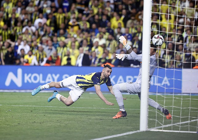 蘭隊希望主 蘭隊希望主