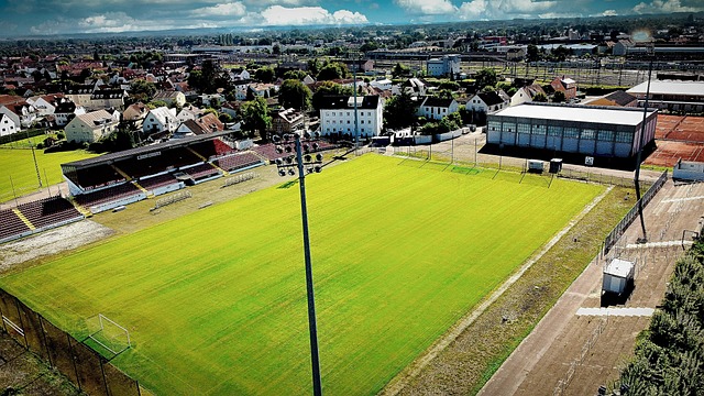 光是运动员 光是运动员