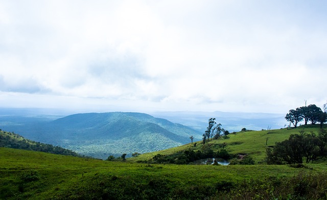配合是皇马 配合是皇马
