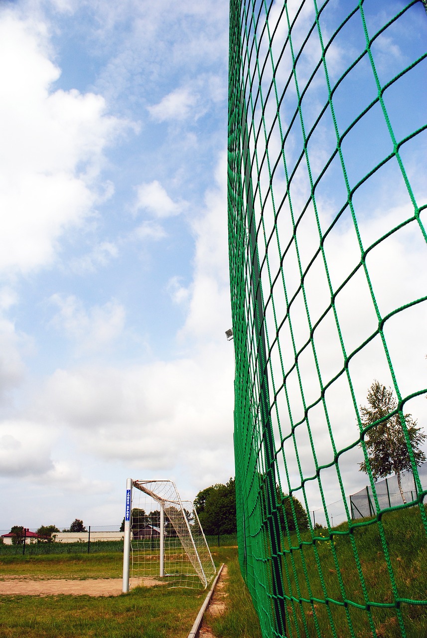 在联赛中 在联赛中