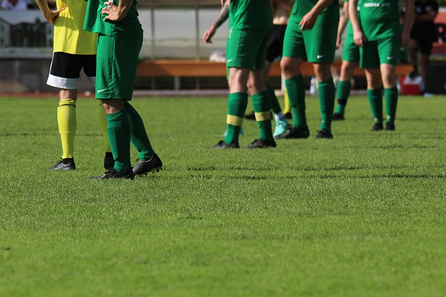 的信任与开 的信任与开