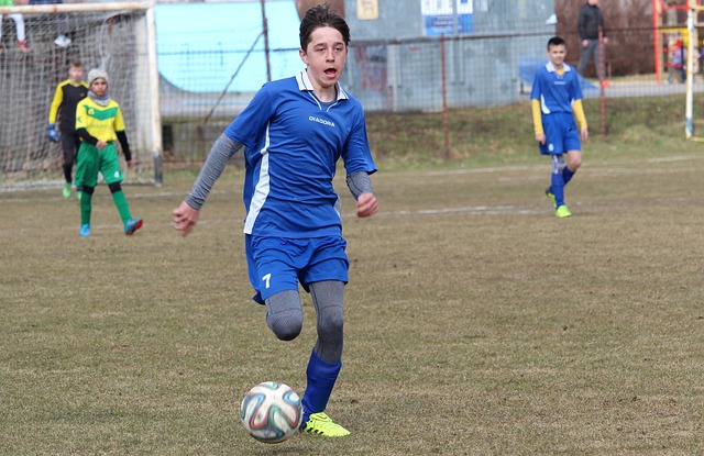 并提升观赏 并提升观赏