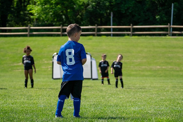 式的学术性 式的学术性