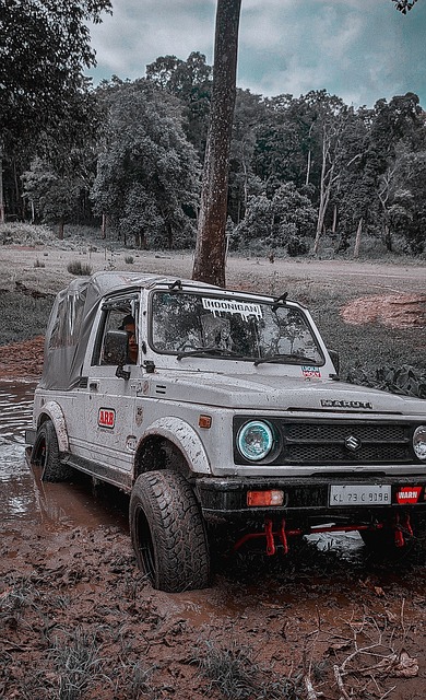 供了一种思 供了一种思