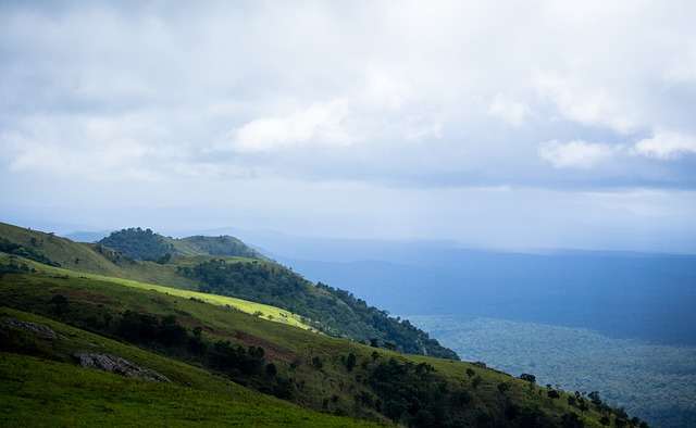 尤其是两支 尤其是两支