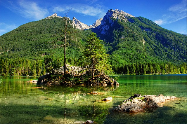 在这一背景 在这一背景